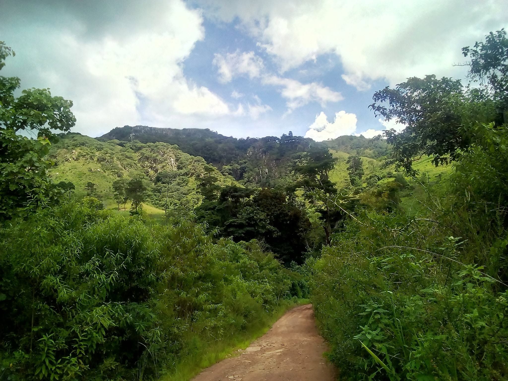 Lush Chimanimani mountain valley and forest trail